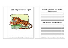 Mini-Buch-für-Lapbook-Fragen-Tiger.pdf